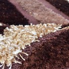 Високоворсный килим 121637 - Висока якість за найкращою ціною в Україні зображення 3.